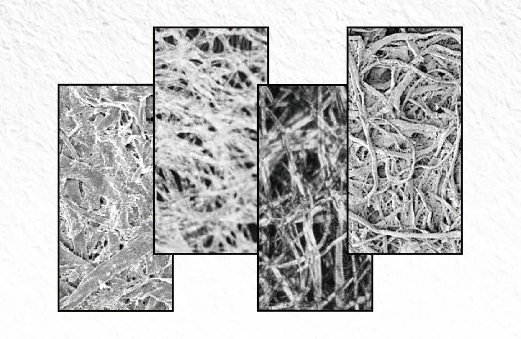 紙紋技術:無法復制的防偽新技術